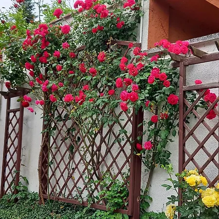 Apartamento 2-pokojowy 55 M2, Kolo Zoo, Hali Stulecia *