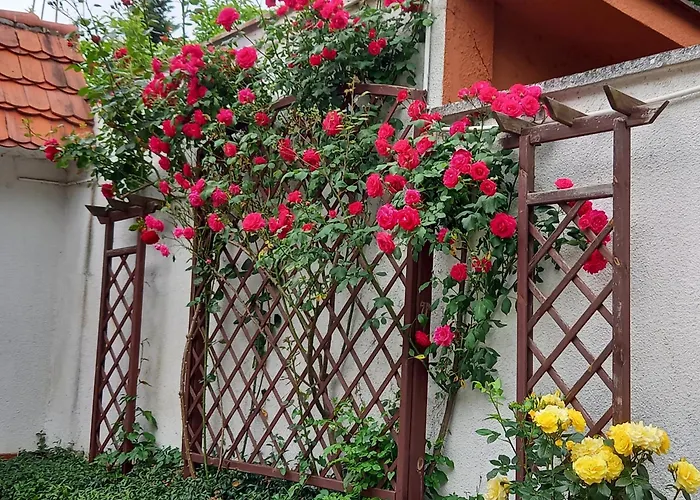 Apartament 2-pokojowy 55 M2, Koło Zoo, Hali Stulecia *